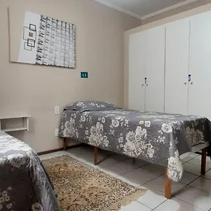 Palmeira , Campinas (Sao Paulo) Brasil